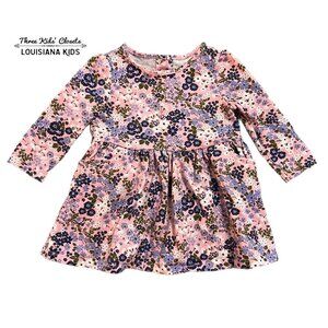 Crazy 8 6-12m Pink Floral Dress